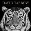 David Yarrow Photography 9780847864775