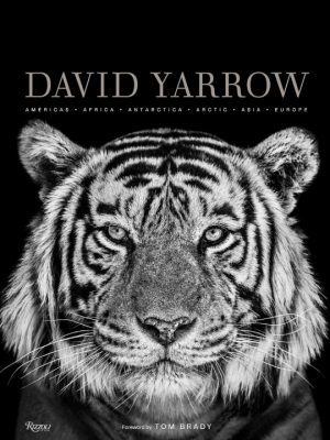 David Yarrow Photography 9780847864775