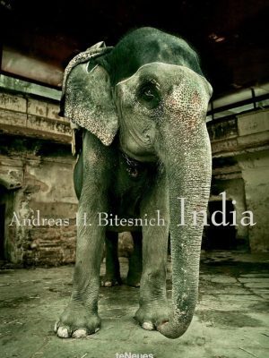 India by Andreas H. Bitesnich 9783832794804