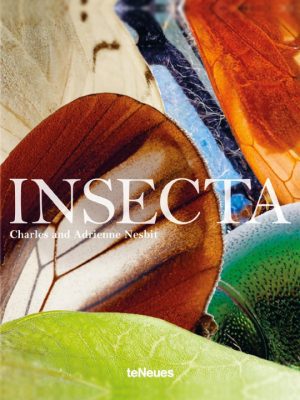 Insecta by Charles Nesbit 9783961710003