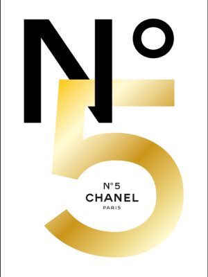Chanel No. 5 Luxury Book 9781419750274