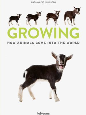 Growing: How animals come into our world 9783961713363